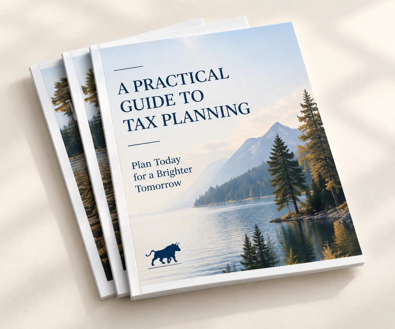 A Practical Guide to Tax Planning